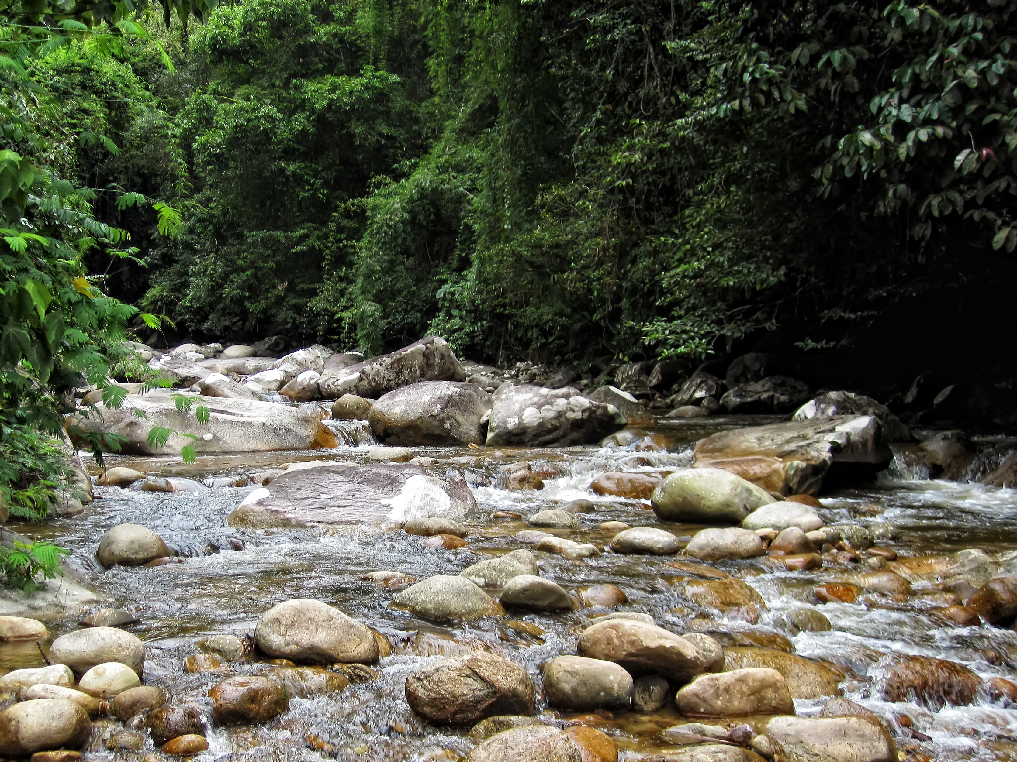 Lata Berembun Forest Eco-Park